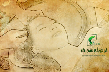 Gội Đầu Thảo Dược Nhà Lá